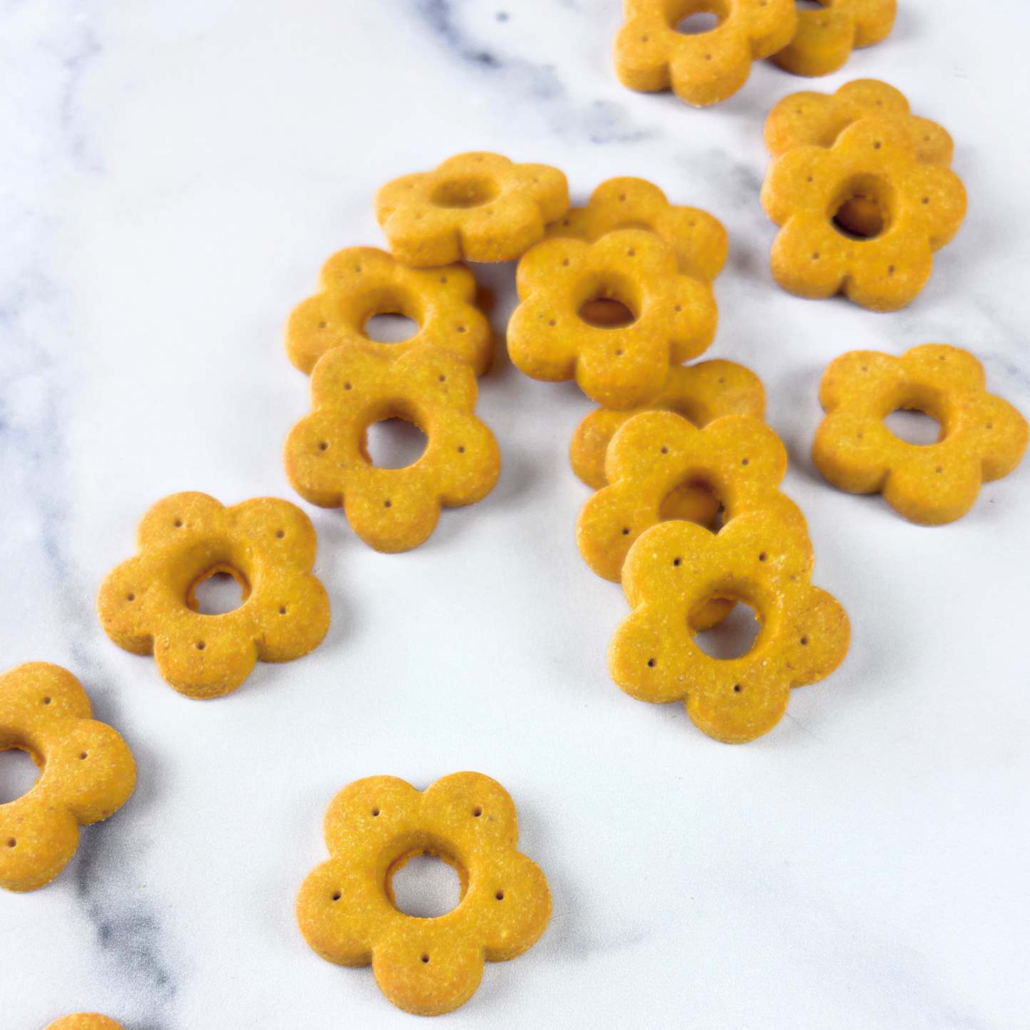 Daisy Bites Sweet Potato Ginger Turmeric Dog Treats | Anti-Inflammatory | Hand-Cut | Gift-Ready