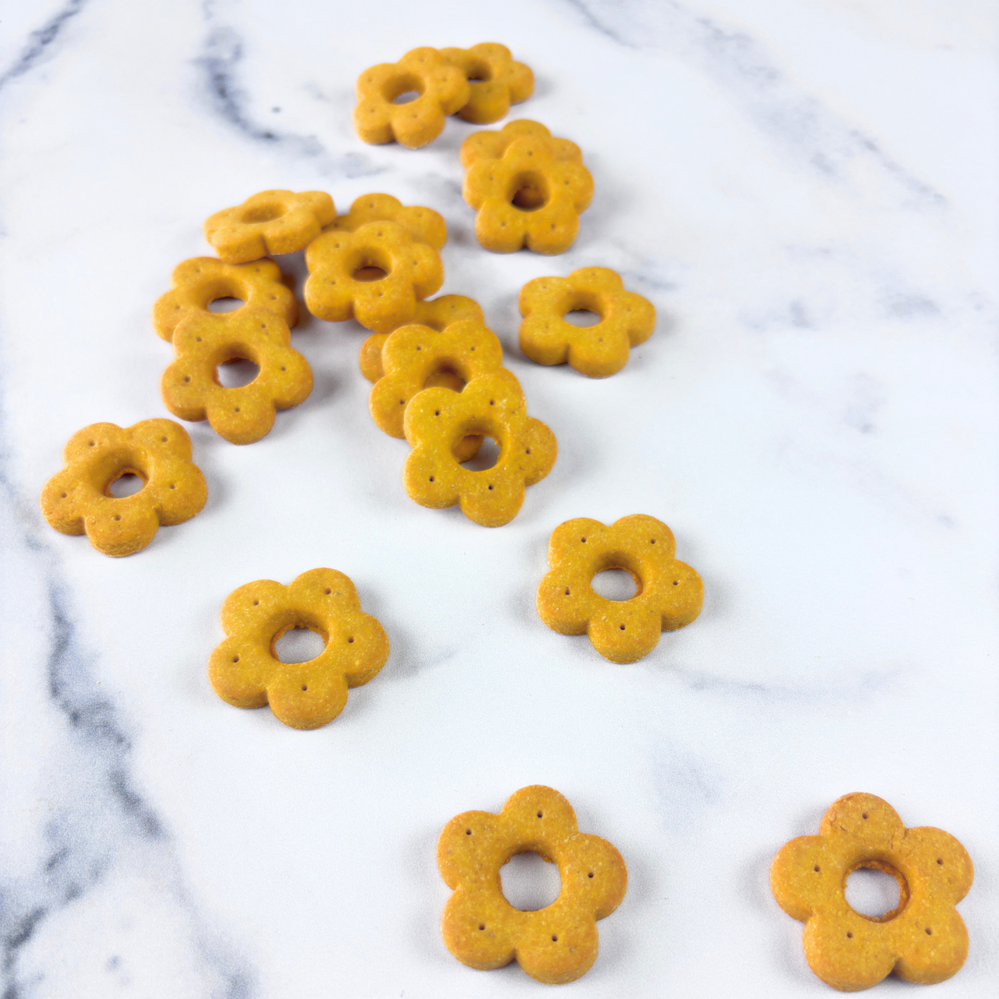 Daisy Bites Sweet Potato Ginger Turmeric Dog Treats | Anti-Inflammatory | Hand-Cut | Gift-Ready
